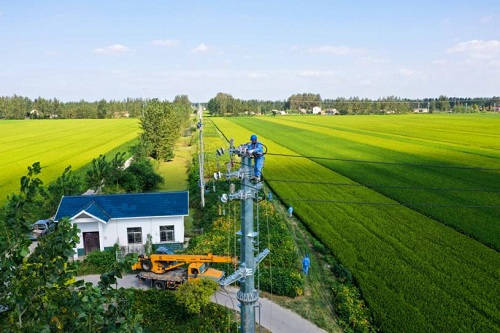 国网江苏金湖县供电公司员工开展线路消缺保障供电安全。